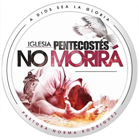 IMG 4374 Removebg Preview 2